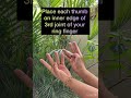 Detox Your Energy with THIS HAND GESTURE#detoxfication#mudra