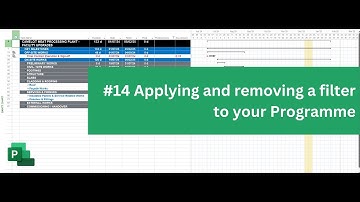 Applying and removing a filter to your Programme - MS Project quick tip #14