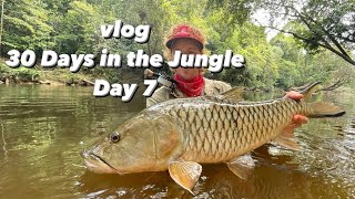 vlog Day 7 - 30 days in the Jungle fly fishing for Red Kaloi in Borneo