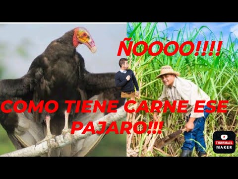 !!!!CANEL DEJA A TRUMP Y COMPAÑIA Y PREOCUPATE POR TU PUEBLO QUE TIENE HAMBRE Y..!!!#cubaencaliente