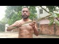 Apanhando o fruto ingá direto do pé