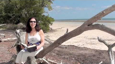 Workbook Lesson 61 from A Course in Miracles with Amy Torres