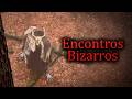 Os Piores Encontros em Florestas [Vol.3]