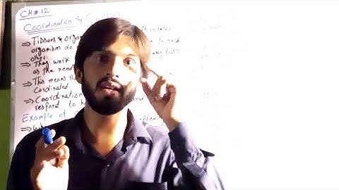 Introduction about Coordination and Control - Biology Ch 12 Coordination and Control - 10th Class