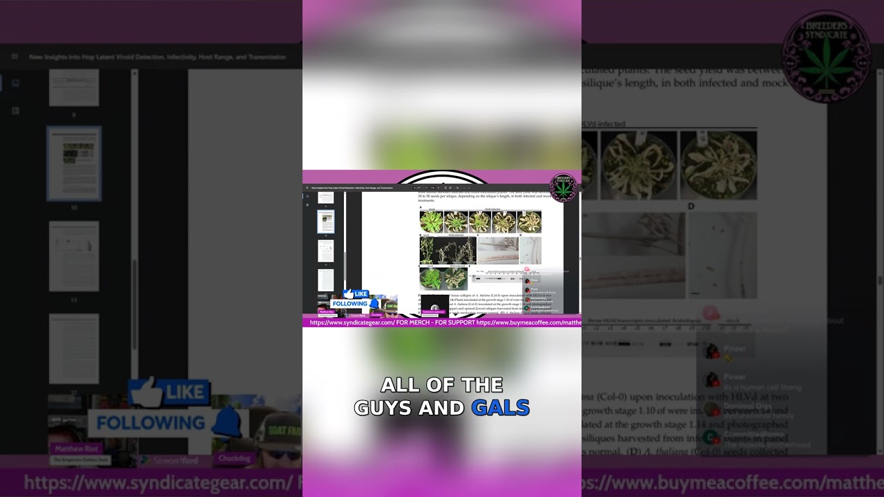 The Power of Community in Cannabis Culture! Join our Discord👉 buymeacoffee.com/matthewriot