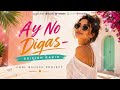 Ay No Digas (Edición Radio) Coverversion Carl Bausch Music