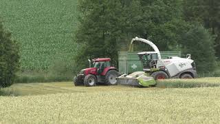 Claas Jaguar 970 DIRECT DISC 600 in der Triticale   Teil 1  GPS häckseln mit Lohnunternehmen Hannes