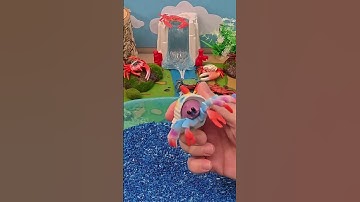 The Crab That Lives in a Snail Shell! 🐚🦀 | Hermit Crab Facts