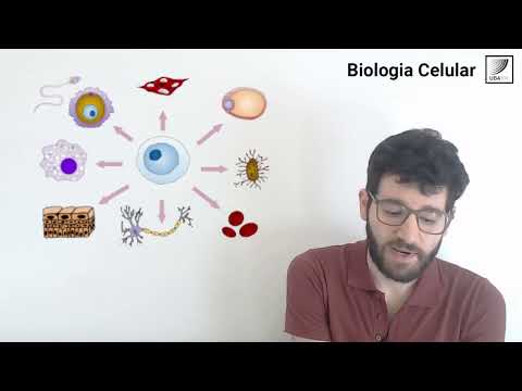 79. Biología Celular: Diferenciación celular: Definición y principales mecanismos
