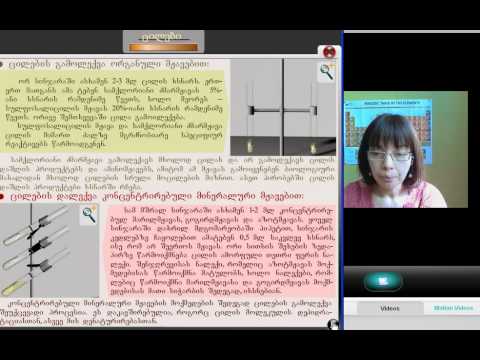 1. ლექცია: რა არის ცილა? (3 ნაწილი)