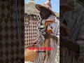 😂😂ki moo Beuri Xam-Xam #senegal #sn #afrique #dakar #youtubeshorts #touba