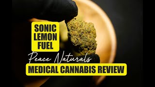 Sonic Lemon Fuel | Peace Naturals | UK Medical Cannabis Review