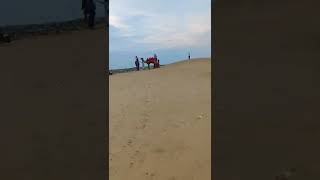 Rahiv 360 Degree View Of Desert