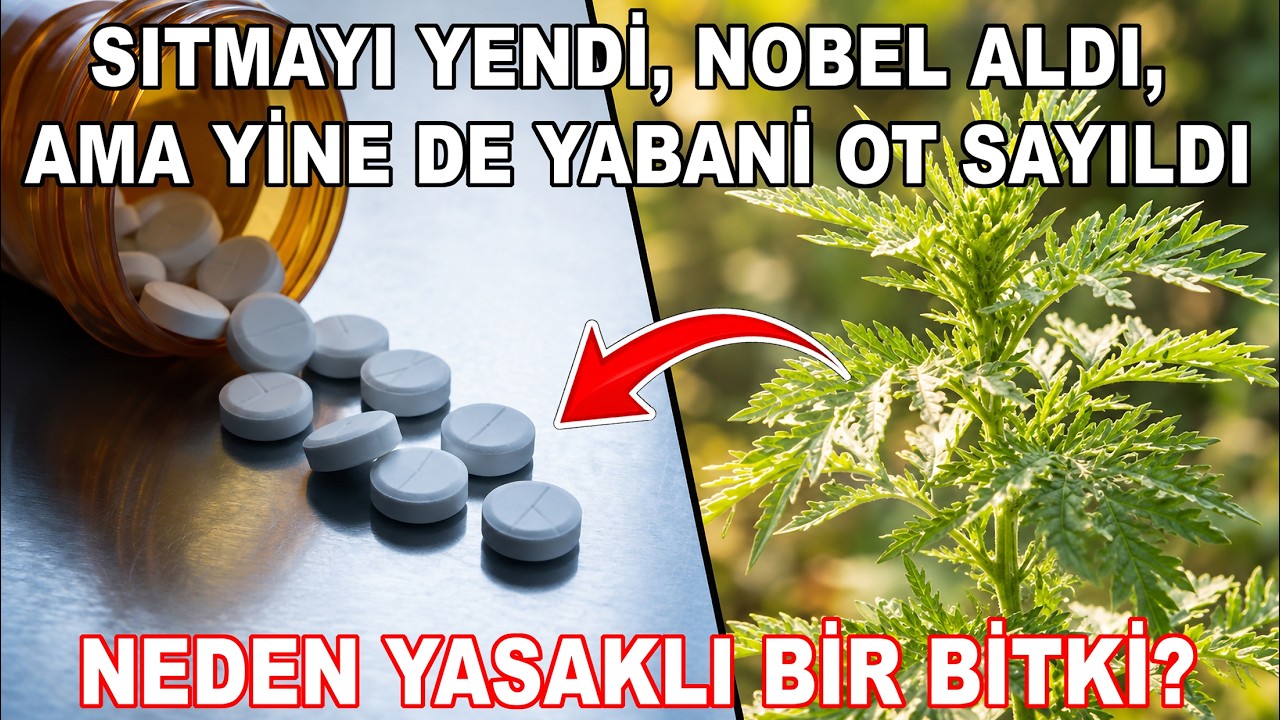 Nobel Kazanan O Ot: İnsanlara Neden Ondan Uzak Durmaları Söyleniyor?