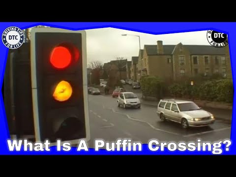 Video: Skillnaden Mellan Pelican Och Puffin Crossing