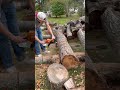 STIHL 400c this one’s impressive!! #stihlchainsaw #stihl #chainsaw #firewood #chainsaw #logging