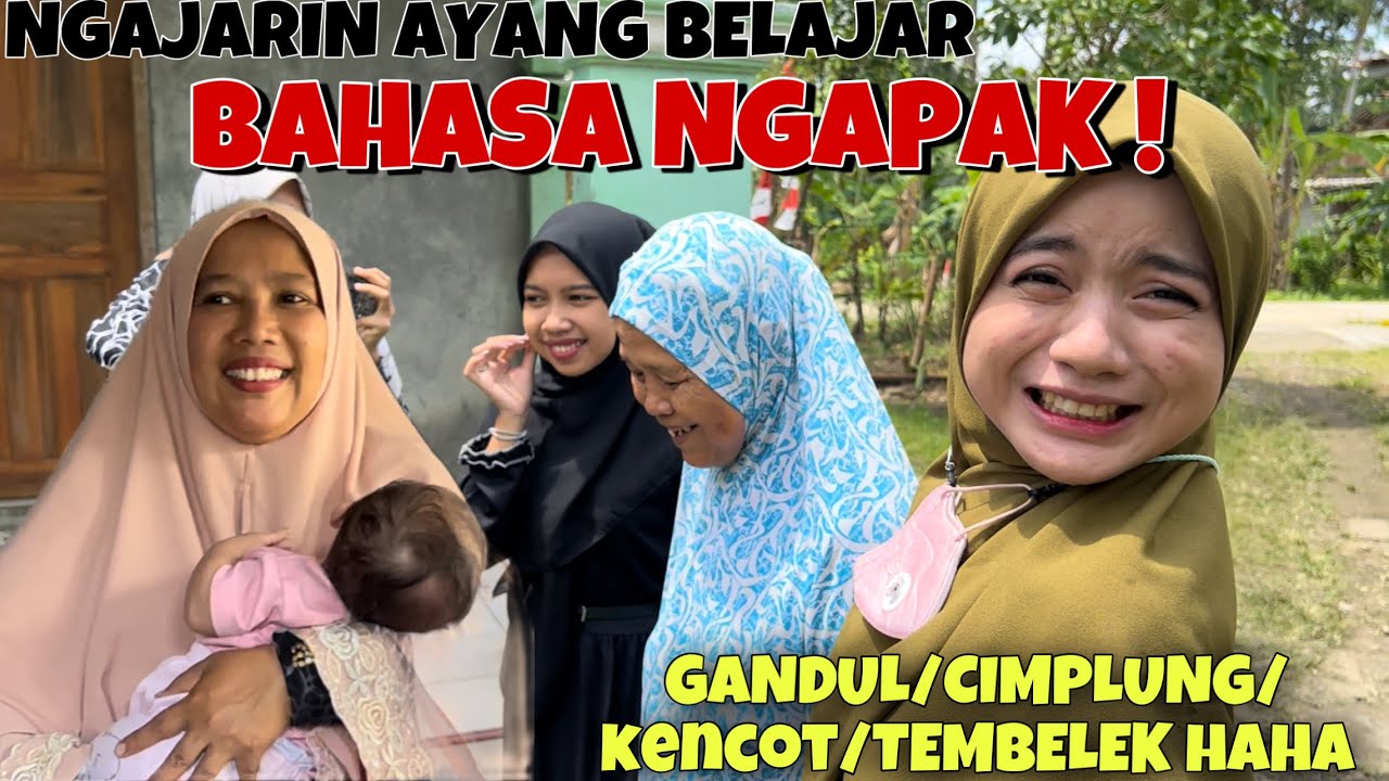 CIMBRUUT BELAJAR BAHASA NGAPAK - BIKIN NGAKAK❗️