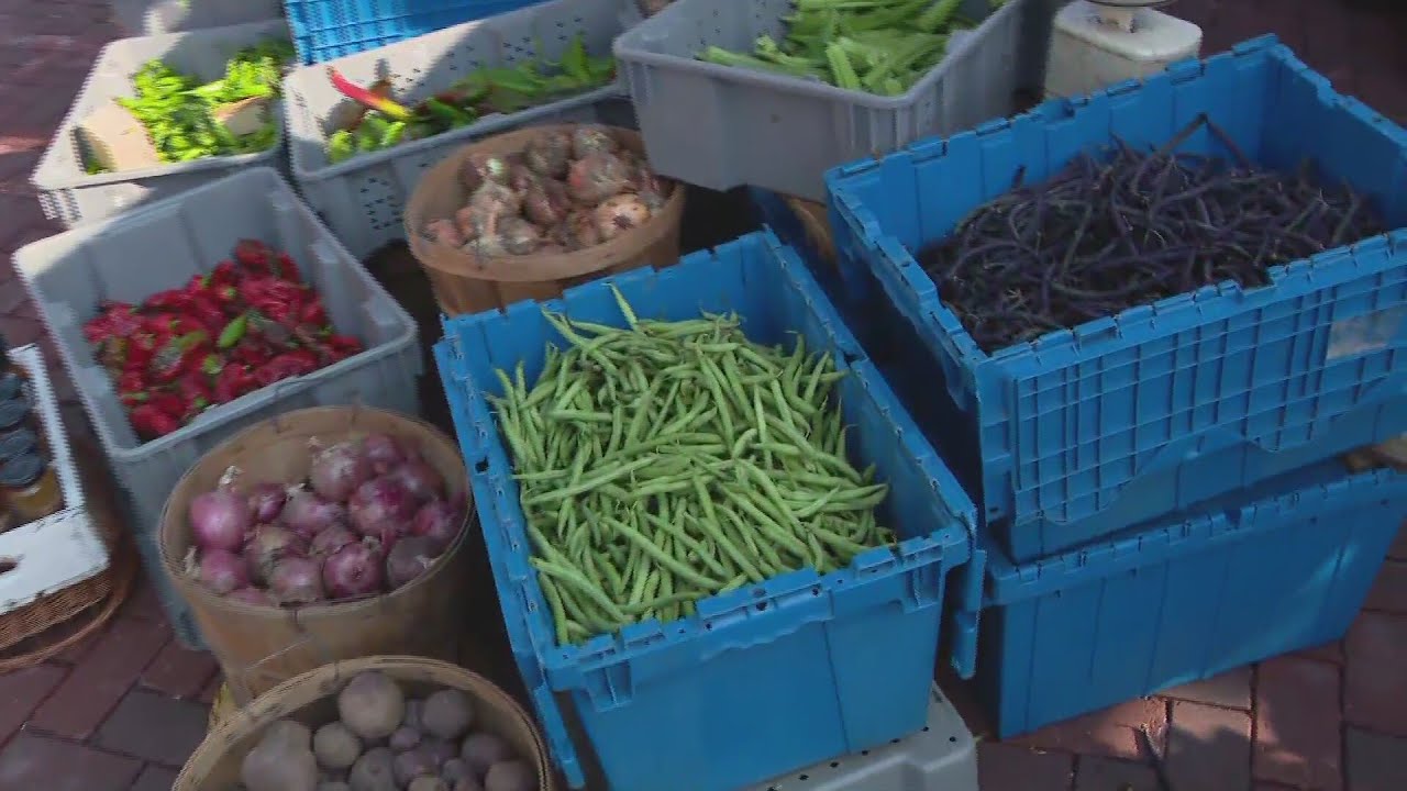 Weekend Break: Batavia Farmers Markets - WGN Weekend Morning News at 8