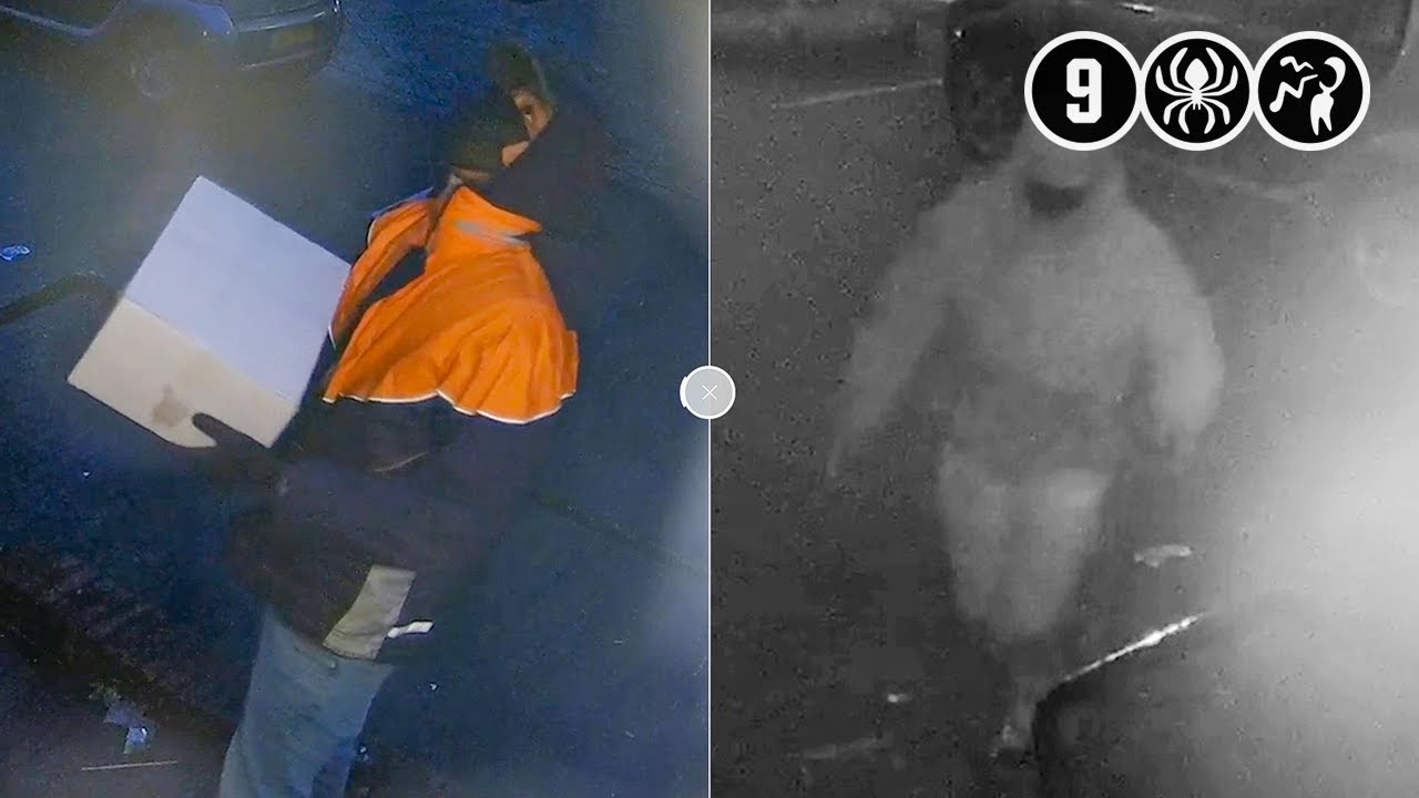 Amsterdam: Woningoverval bij moeder en 7-jarige dochter op IJburg