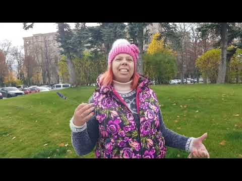 October 26 2025 NINA CONGRATULATES EVERYONE ON MOTORIST S DAY HAPPINESS AND HEALTH Kharkiv