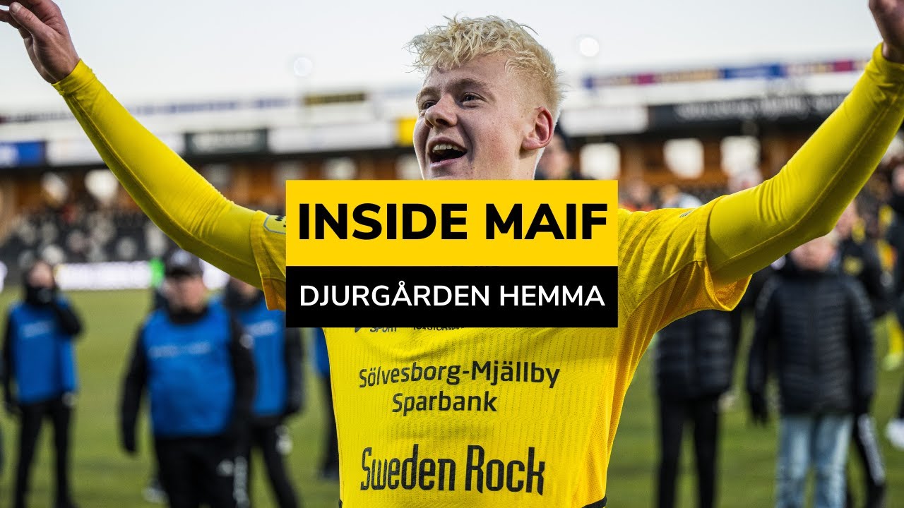 INSIDE MAIF | Djurgården hemma | 2