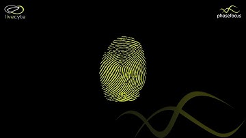 A Phenotypic Fingerprint