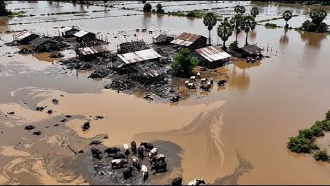 Biển Nước Đục Nuốt Chửng Cả Làng Quê Nông Dân Khóc Bất Lực