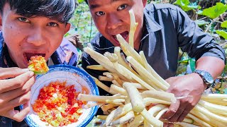 Have you ever eat raw lotus root with salt spicy chilli in your village - Eating Lotus Root