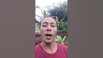 bromocorah sesunguhnya_habib yaman_baalwi_keturunan palsu tidak terima PWI bongkar makam palsu