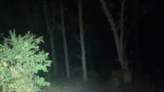 HUTAN MAKAM 7 METER COLABORASI