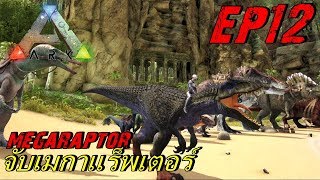 BGZ - ARK The Center 2018 EP#12 จับเมกาเเร็พเตอร์ Tame Megaraptor