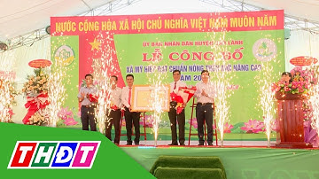 Huyện Cao Lãnh: Công bố xã Mỹ Hiệp đạt chuẩn nông thôn mới nâng cao | THDT