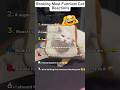 Ranking funniest cat moment on internet #ranking #cat #shortsfeed