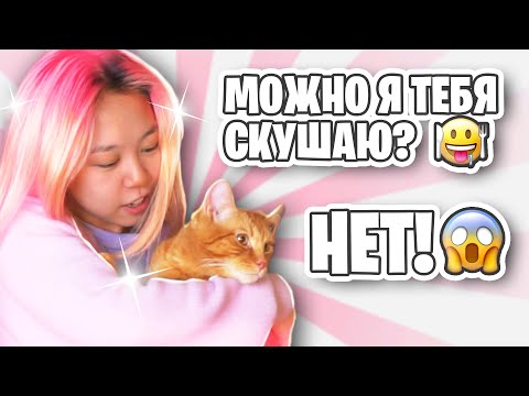 Симбу чуть не скушал хомячок😱 | Едем в гости к Yolo House