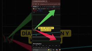 DÍA 18 | BITCOIN Y WORLDCOIN