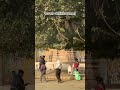 राधा राधा #coversong #viral #trending #youtube #shorts #song #youtubeshorts #shortsfeed #radha