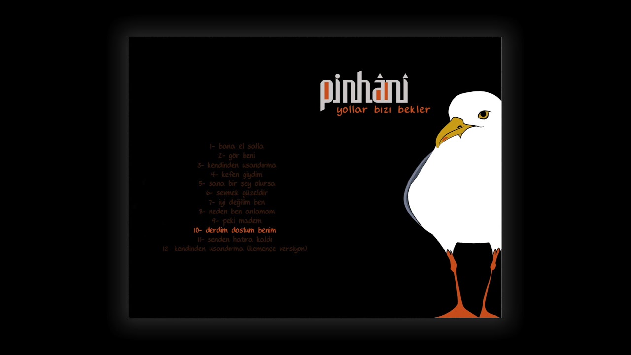 Pinhani Yollar Bizi Bekler Pop Esenshop
