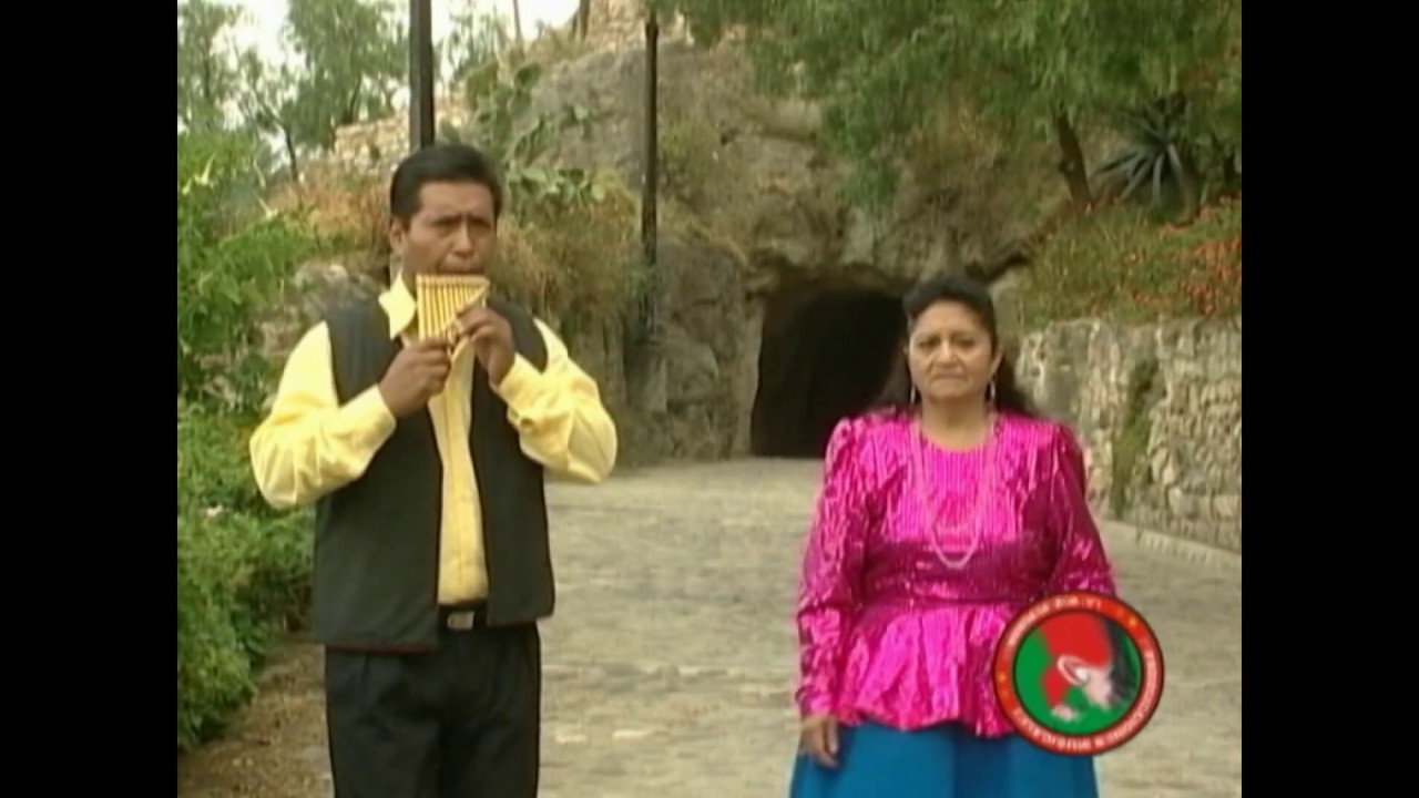 LOS RAYOS SANMIGUELINOS  - MI MAIZAL