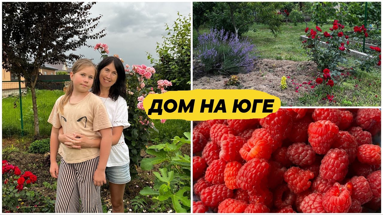 За этими чудиками нужен глаз да глаз/на ОЗОНЕ дешевле/Экзамен/ Вечером ...