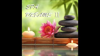 Cameron, Yoga Music & Meditation Spa - Vibes of the Harp