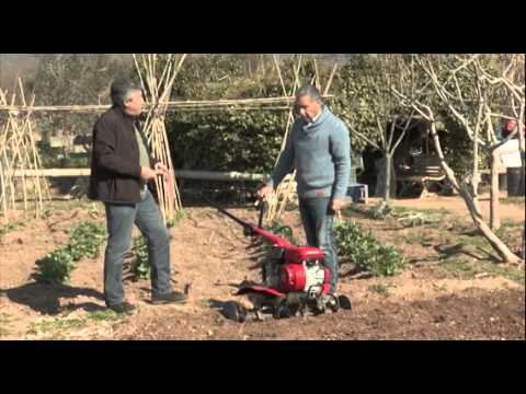 Vídeo: Diferents tipus d'aixades de jardí: usos per a aixades al jardí