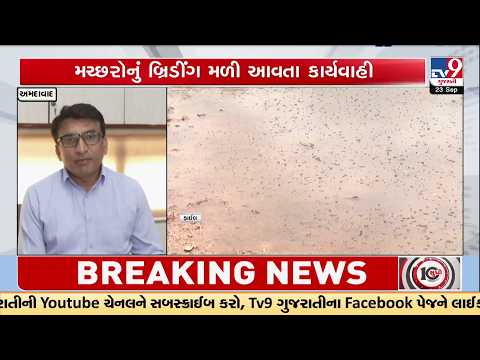 Ahmedabad Mosquito Alert! Breeding Found at 222 Locations, Big Action by AMC | TV9Gujarati