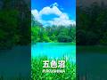 エメラルドグリーンの神秘的な沼【福島】裏磐梯 五色沼(青沼)