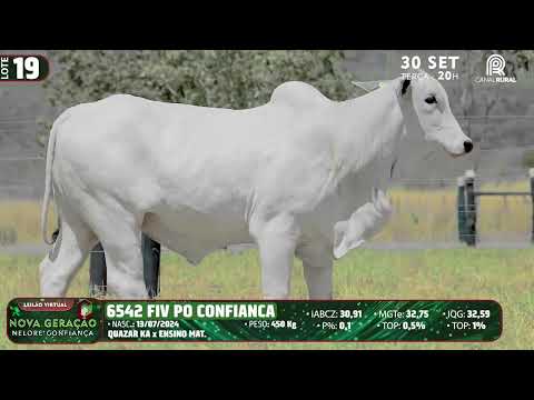 LOTE 19   DVD 6542