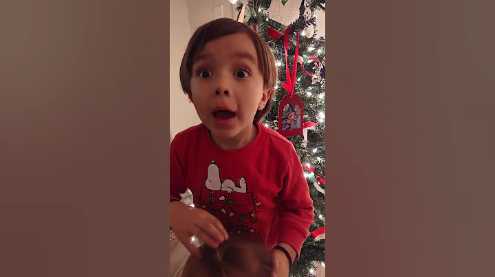 joy to the world
