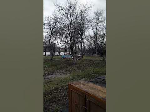 Погода в Тамбове - YouTube