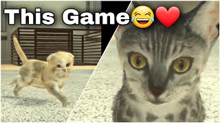 The Most Realistic Cat/Pet Game on Android 🤭😆| Caring for my Cats in 2 min [Fail] screenshot 4