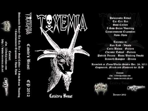 Toxemia — Toxemia - Tai-Tax Axe.wmv