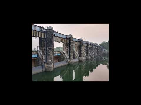 "আইনের order এ , এখন তারা boarder এ" Entertainment.