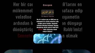Allah'ı Tanıyoruz - Cevşen 8 #islam #zikir #dua #marifet